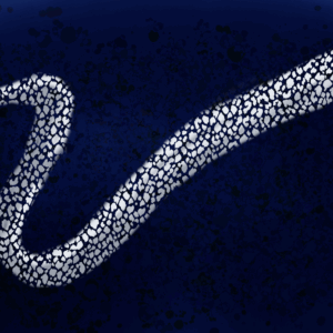 海獣