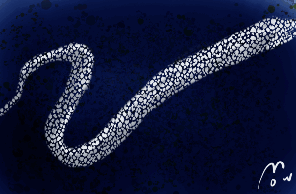 海獣